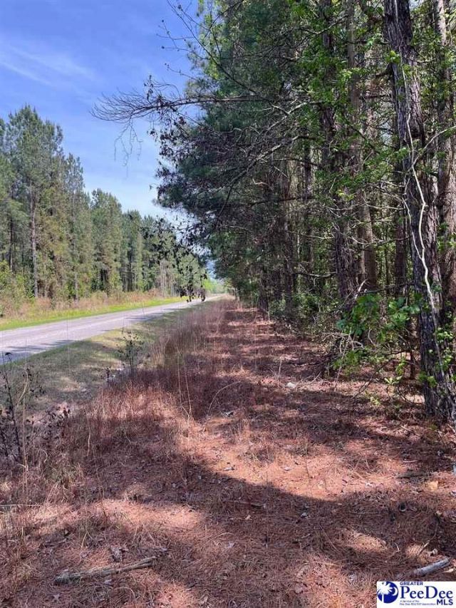 Mta 7 Heustess Rd Photo 22