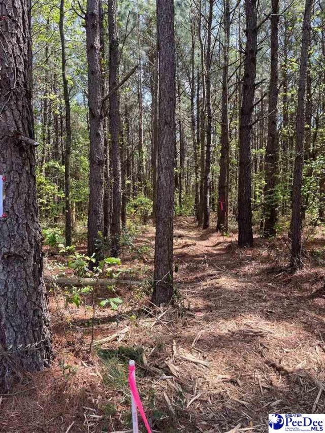 Mta 7 Heustess Rd Photo 23