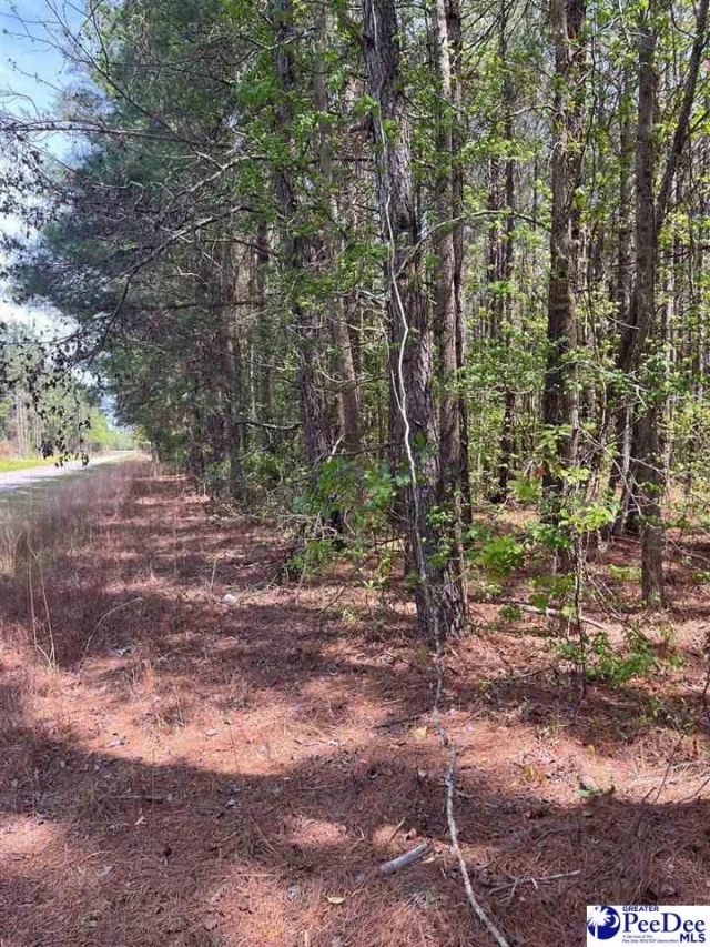 Mta 7 Heustess Rd Photo 24