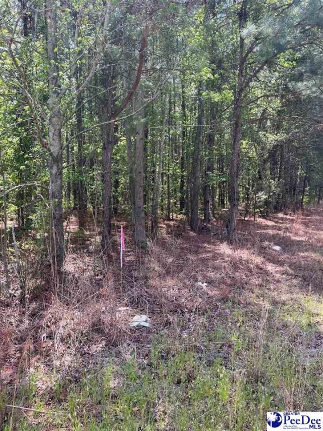 Mta 7 Heustess Rd Photo 25