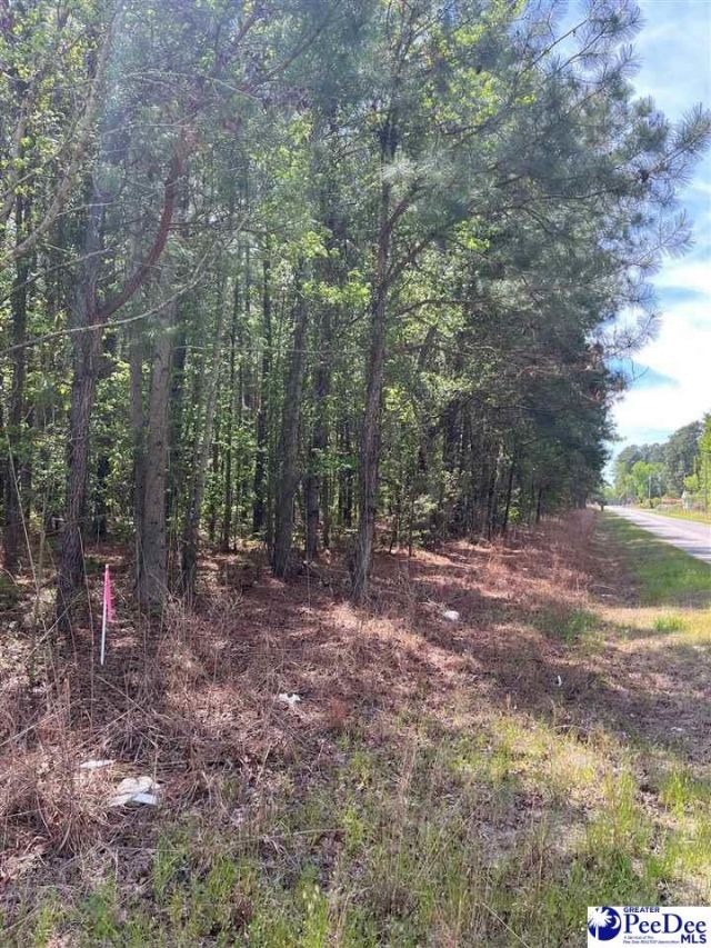 Mta 7 Heustess Rd Photo 26