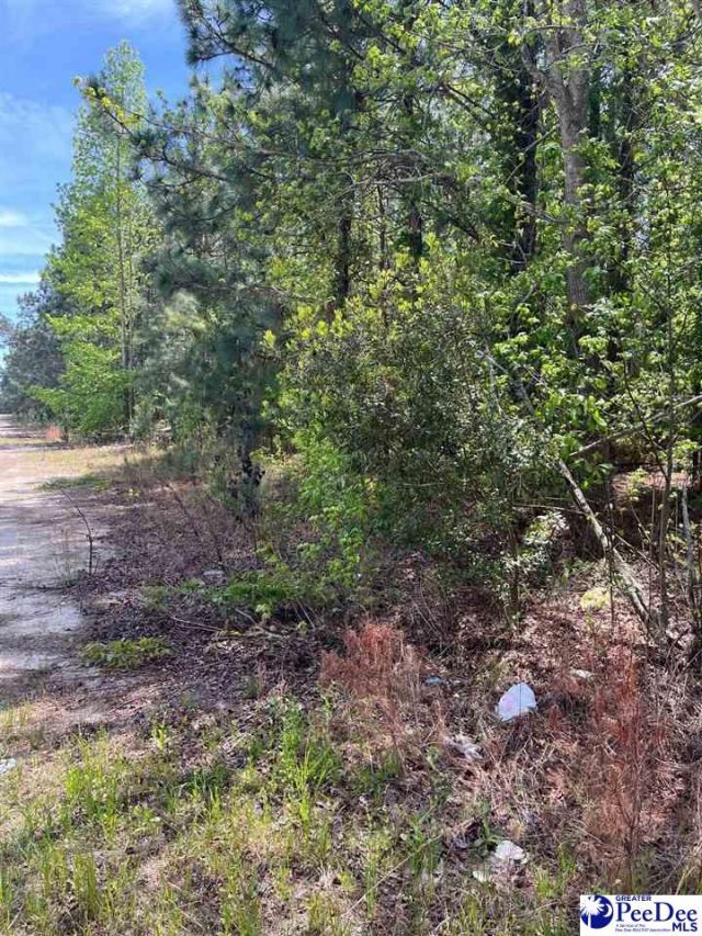 Mta 7 Heustess Rd Photo 27