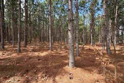 Mta 7 Heustess Rd photo 4