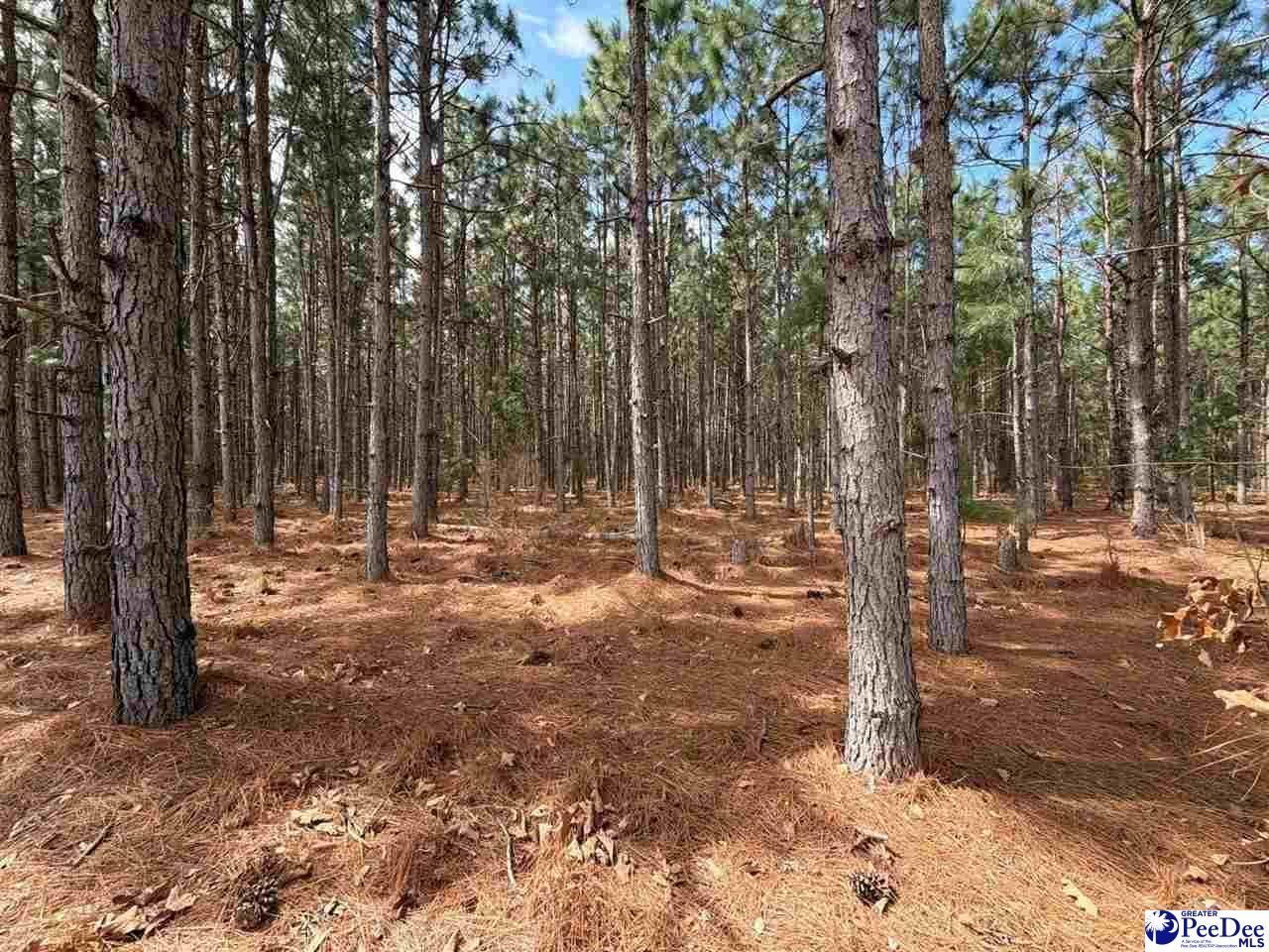 Mta 7 Heustess Rd Photo 4