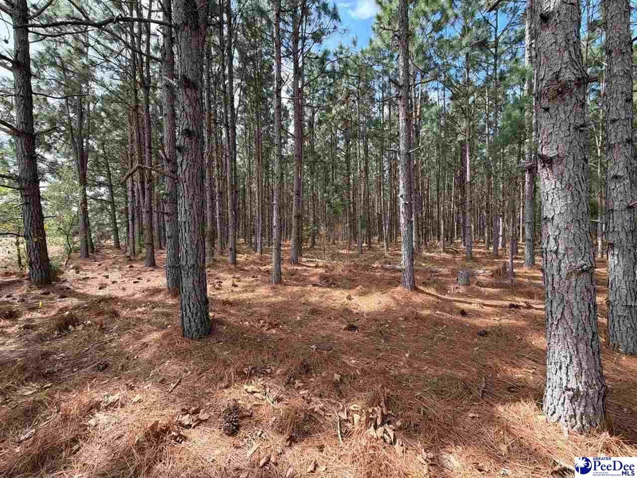 Mta 7 Heustess Rd Photo 5