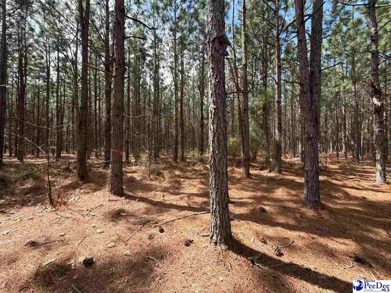 Mta 7 Heustess Rd Photo 6