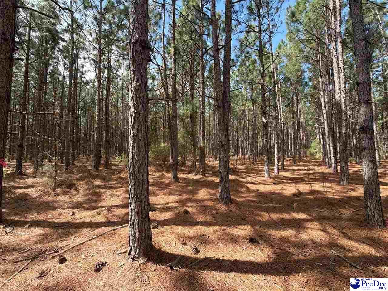 Mta 7 Heustess Rd Photo 7