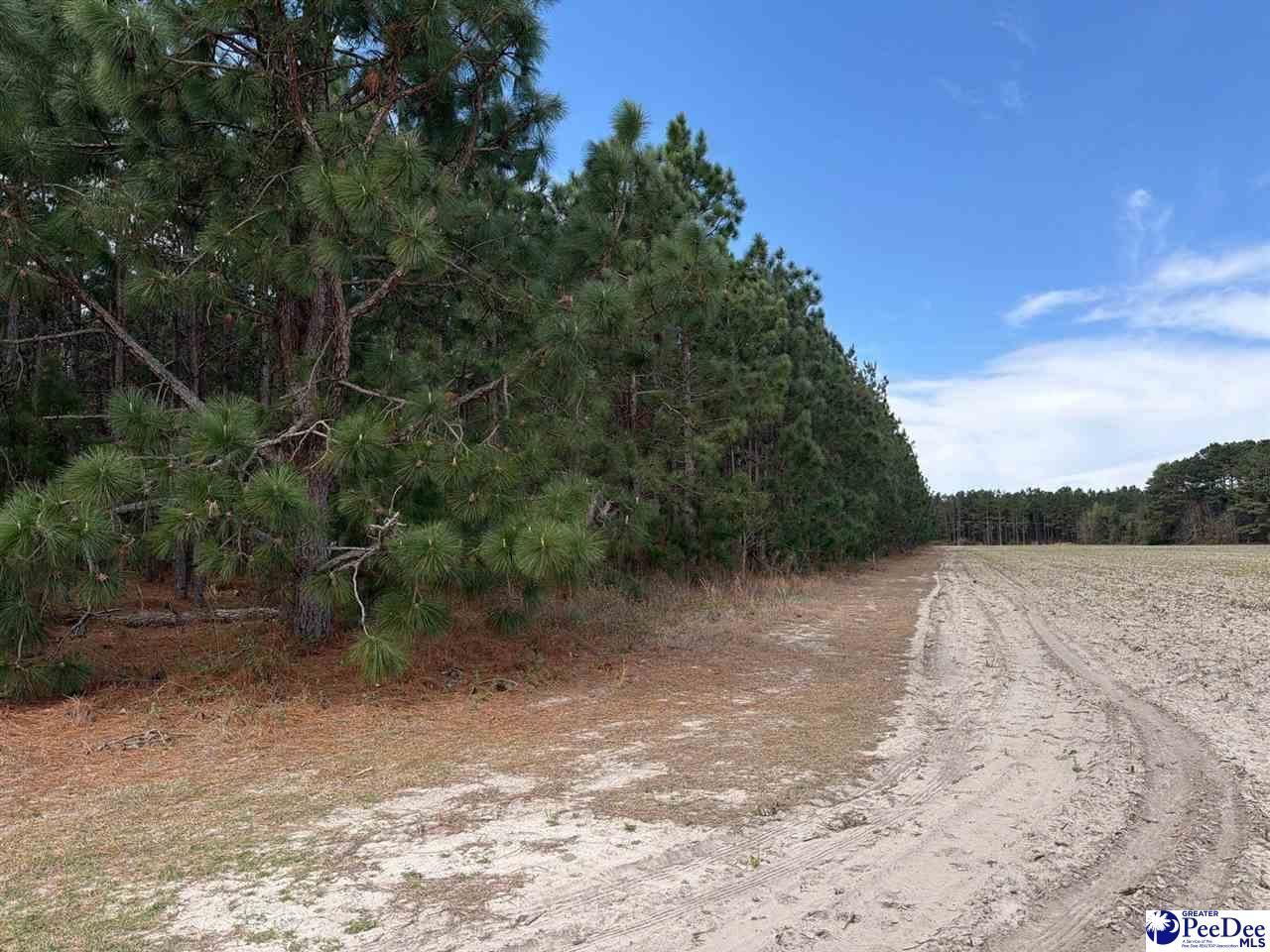 Mta 8 Heustess Rd Photo 10