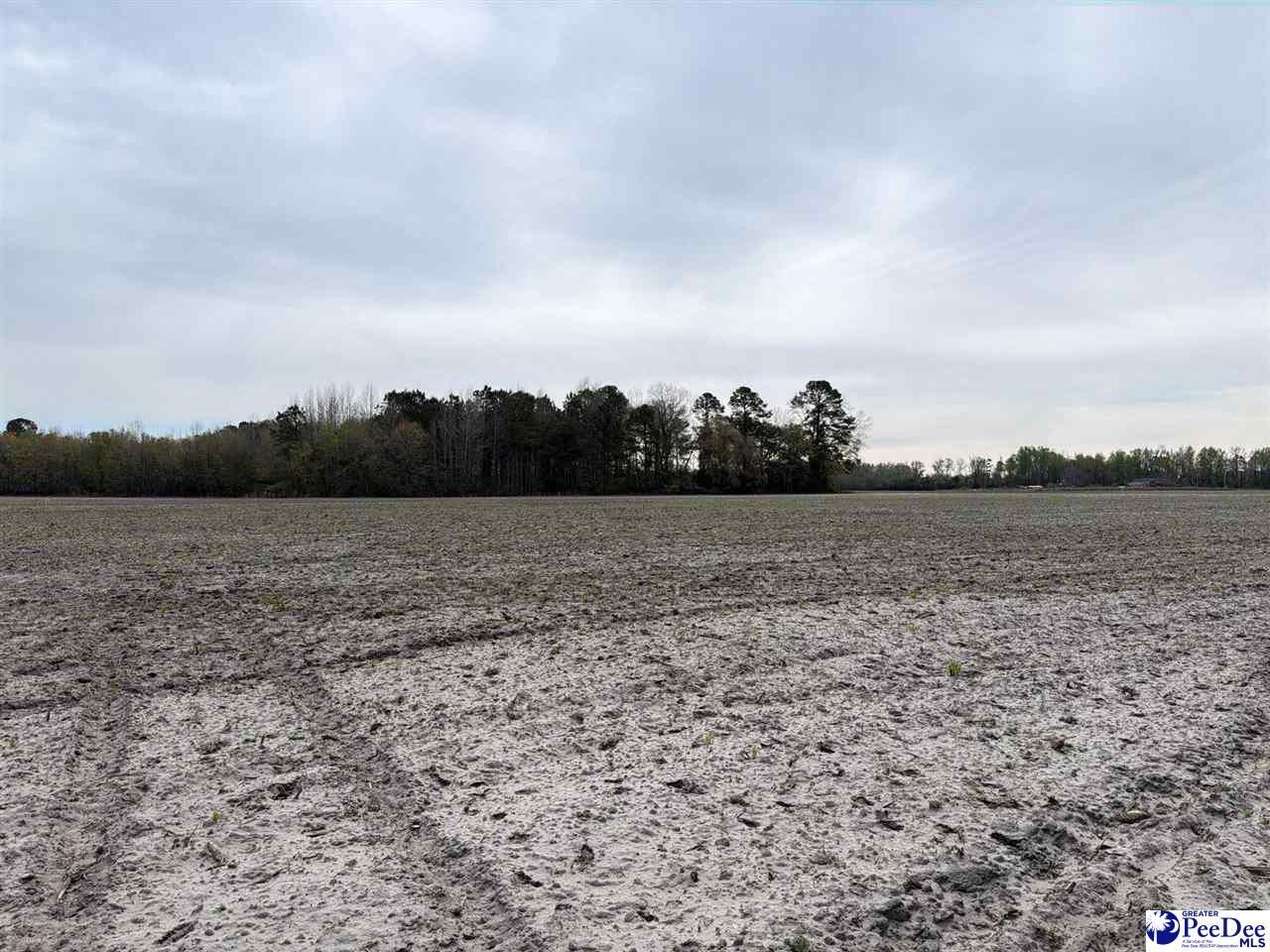 Mta 8 Heustess Rd Photo 12