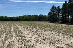 Mta 8 Heustess Rd photo 4