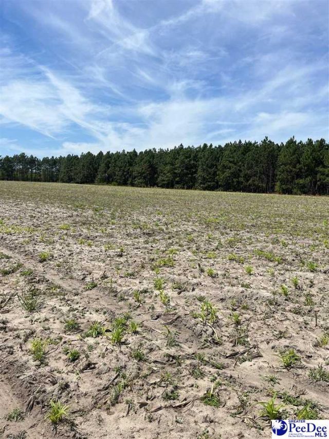 Mta 8 Heustess Rd Photo 19