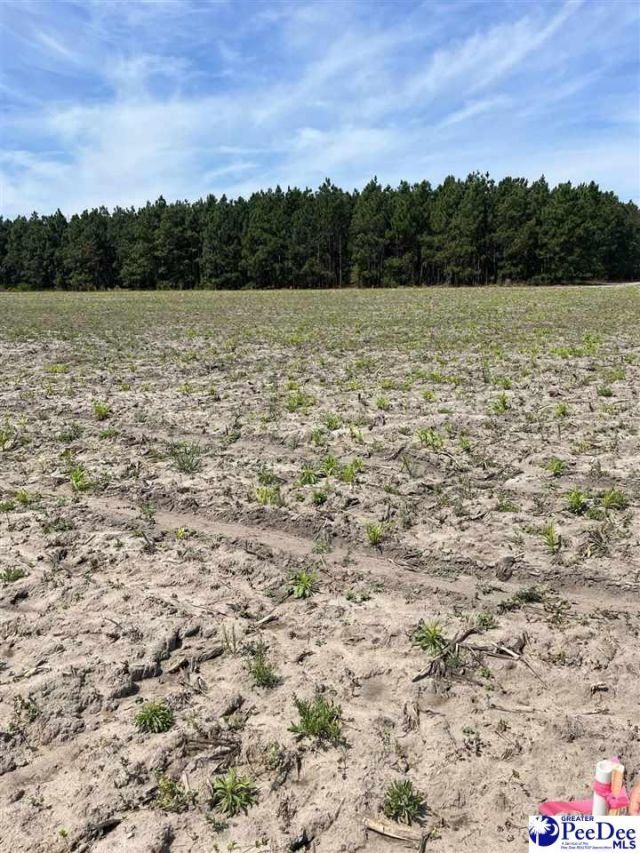 Mta 8 Heustess Rd Photo 21