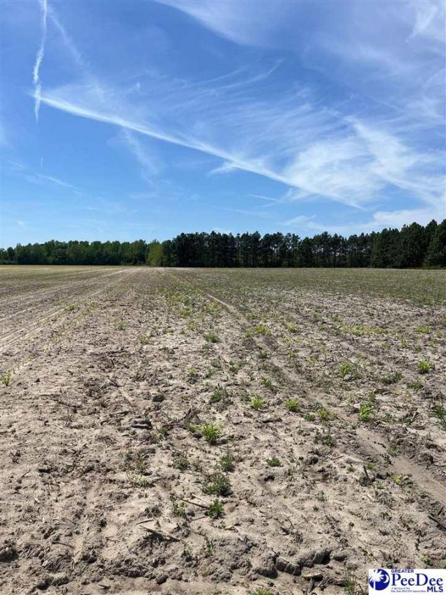 Mta 8 Heustess Rd Photo 22