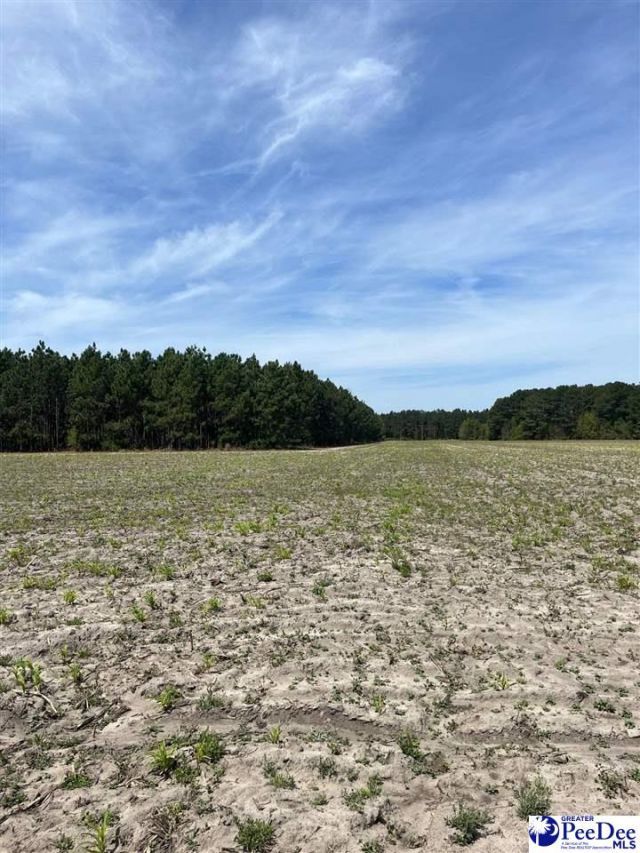 Mta 8 Heustess Rd Photo 23