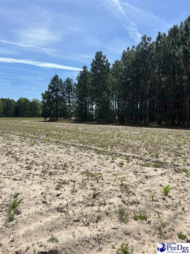 Mta 8 Heustess Rd Photo 24