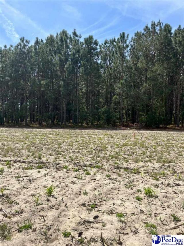 Mta 8 Heustess Rd Photo 25