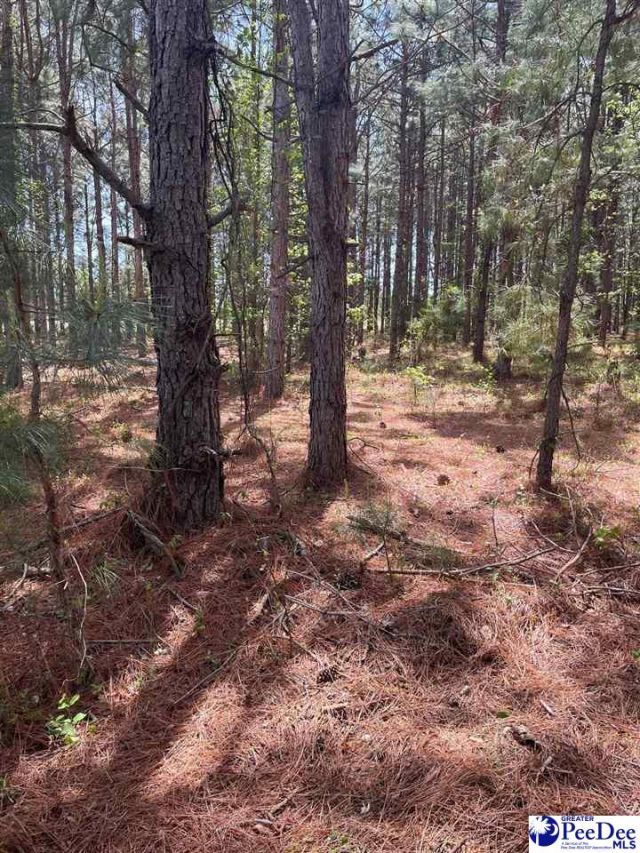 Mta 8 Heustess Rd Photo 26