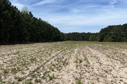 Mta 8 Heustess Rd photo 4