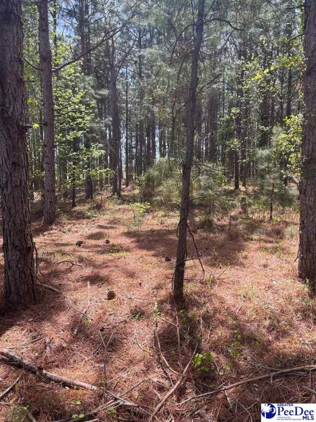 Mta 8 Heustess Rd Photo 27