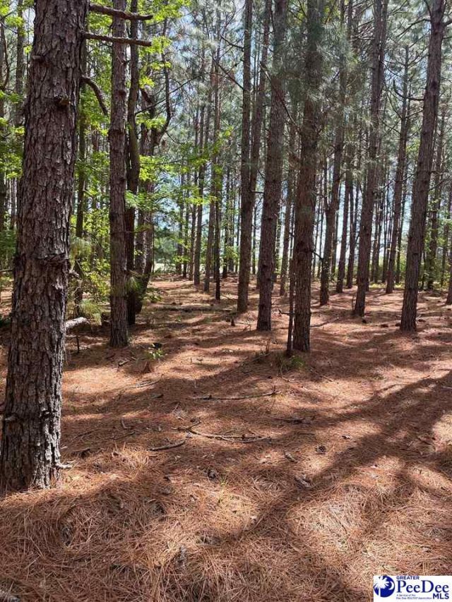 Mta 8 Heustess Rd Photo 28