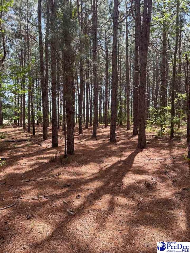 Mta 8 Heustess Rd Photo 29