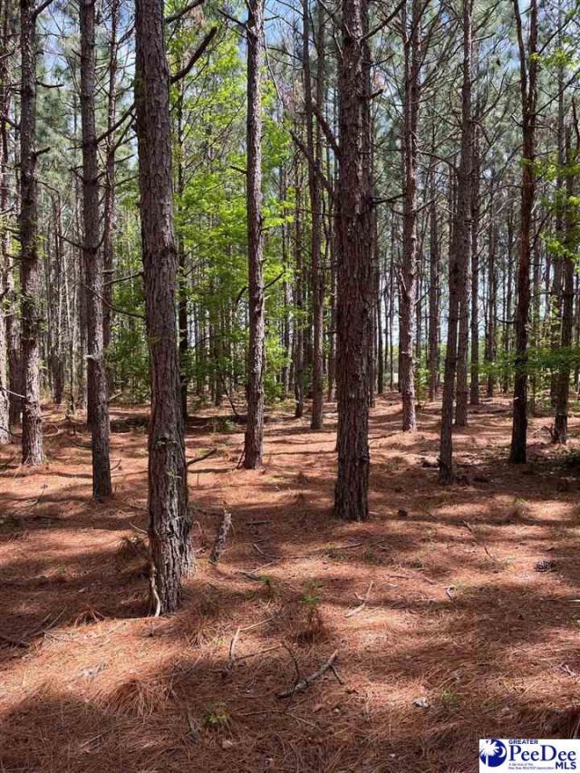 Mta 8 Heustess Rd Photo 30