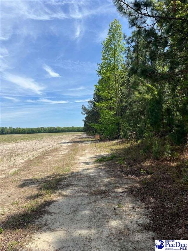 Mta 8 Heustess Rd Photo 31