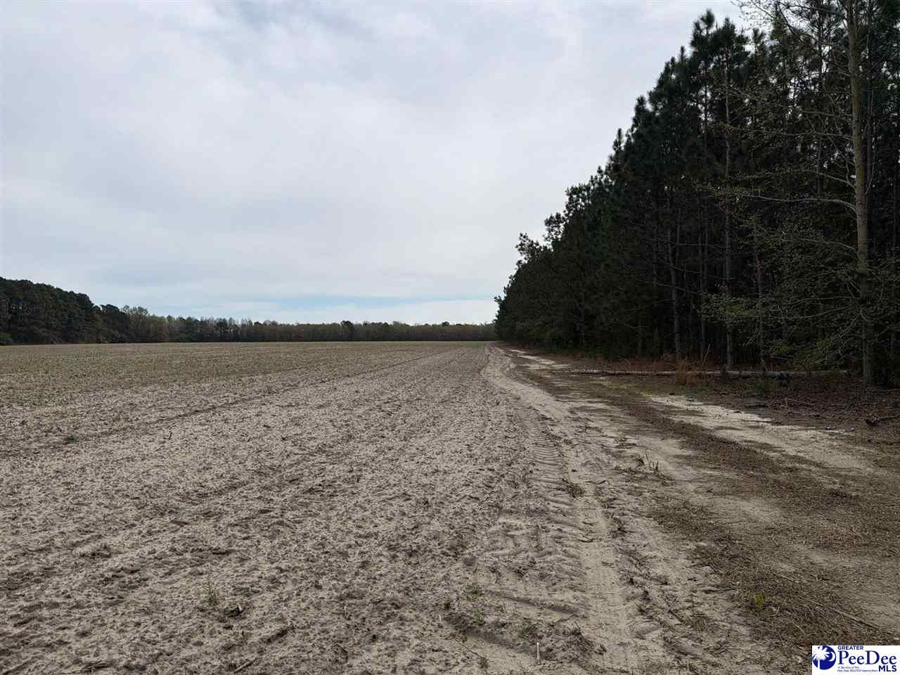 Mta 8 Heustess Rd Photo 4