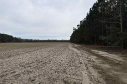 Mta 8 Heustess Rd photo 4