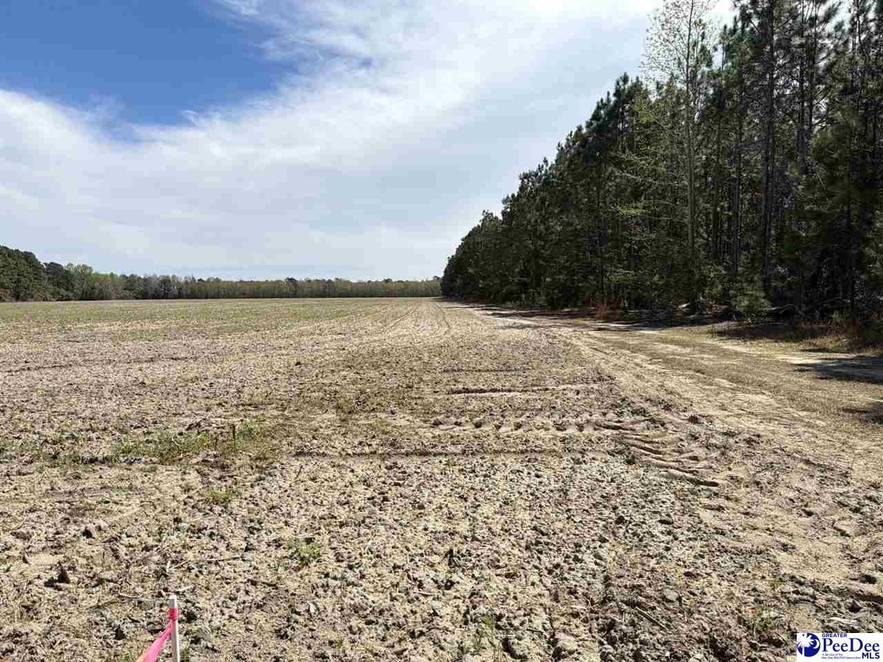 Mta 8 Heustess Rd Photo 5