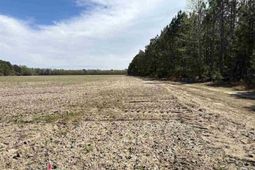 Mta 8 Heustess Rd photo 4