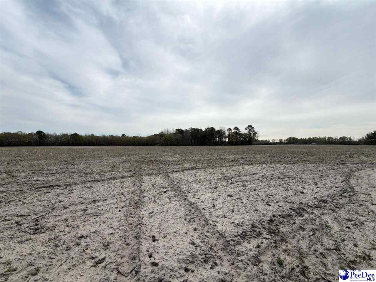 Mta 8 Heustess Rd Photo 6