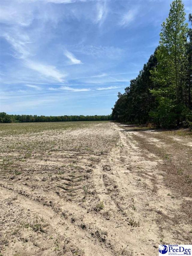 Mta 8 Heustess Rd Photo 7