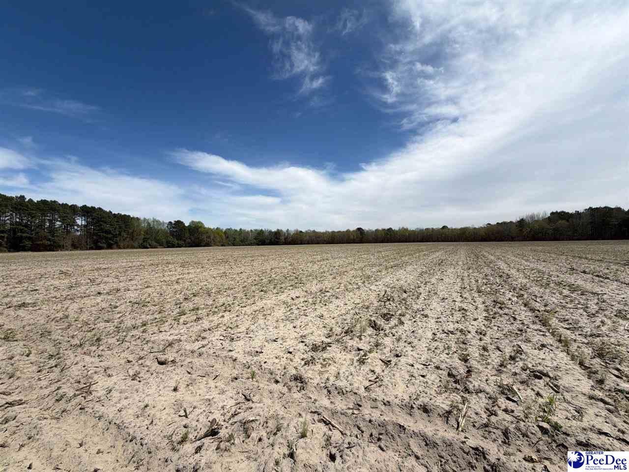 Mta 9 Heustess Rd Photo 10