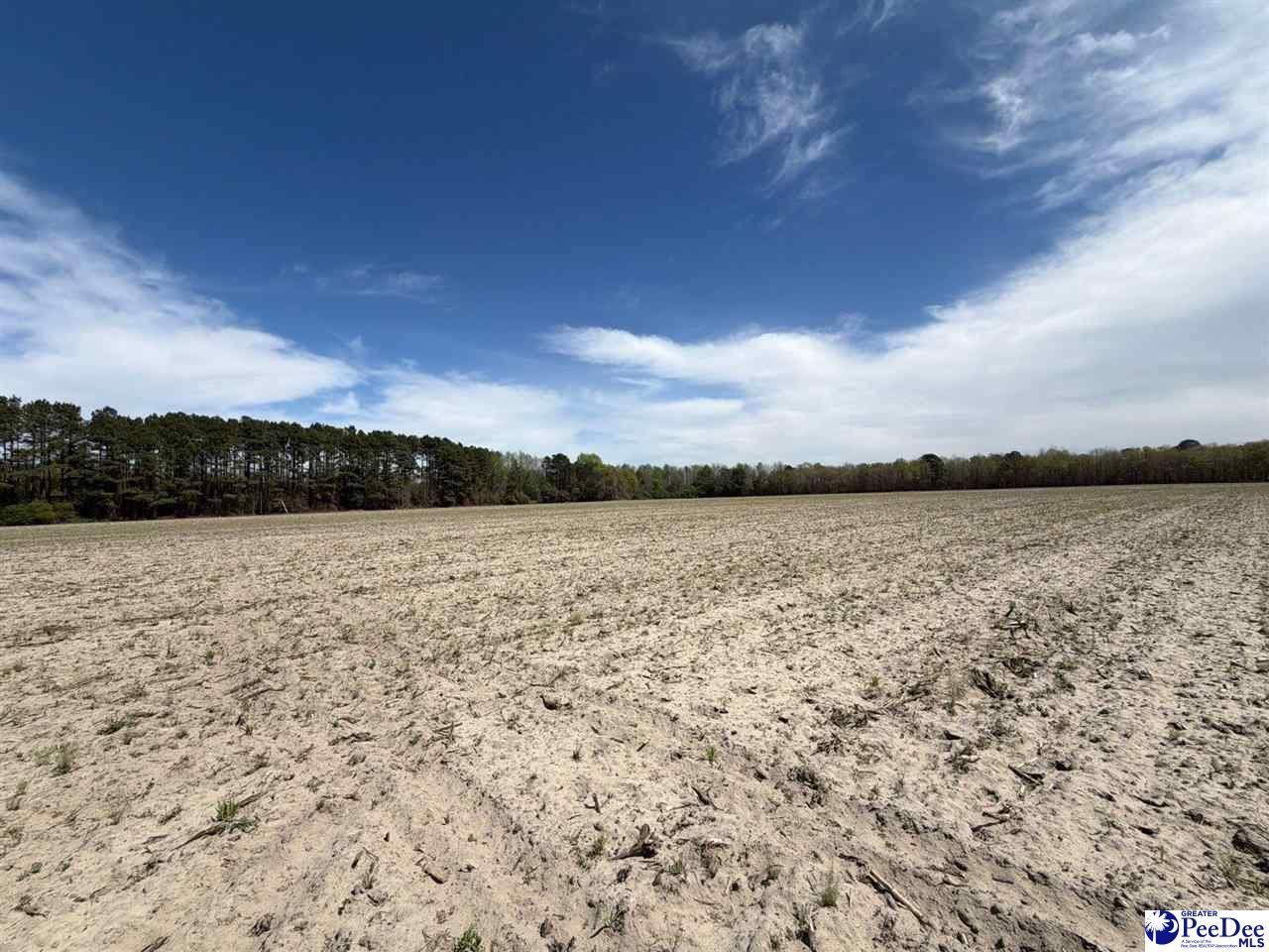 Mta 9 Heustess Rd Photo 11