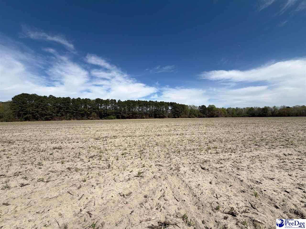 Mta 9 Heustess Rd Photo 12