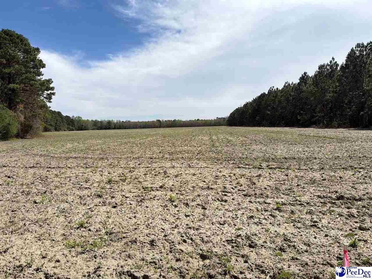 Mta 9 Heustess Rd Photo 13