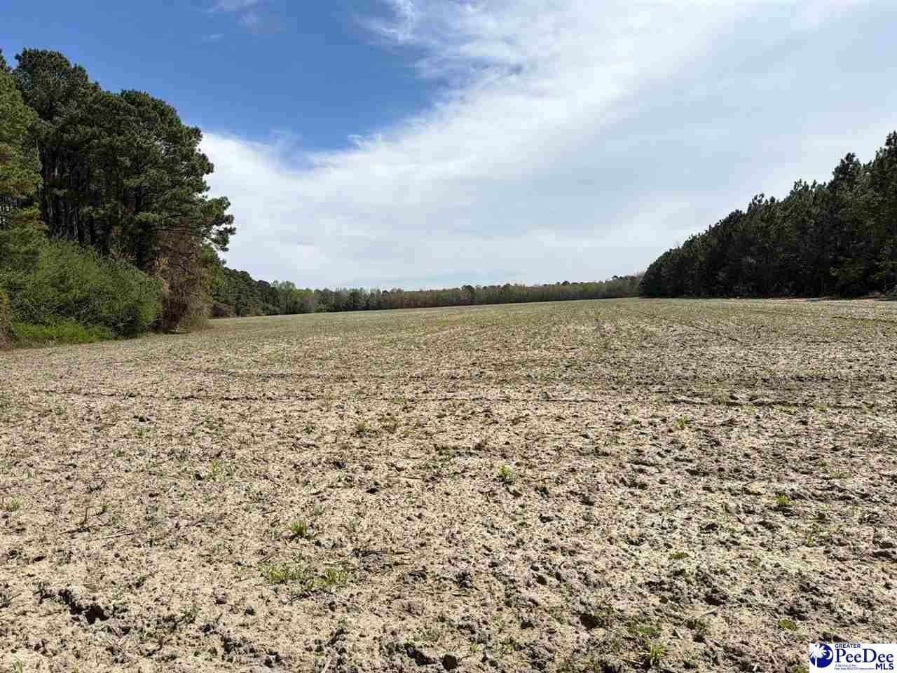 Mta 9 Heustess Rd Photo 14