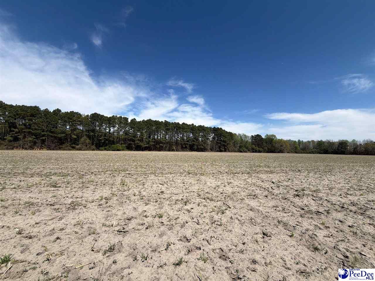 Mta 9 Heustess Rd Photo 15