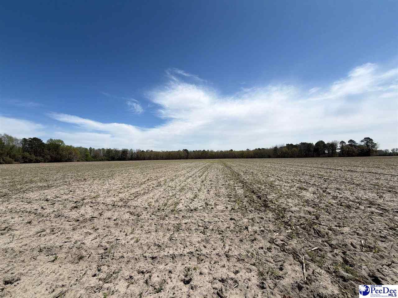 Mta 9 Heustess Rd Photo 16