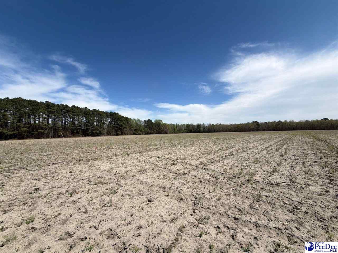 Mta 9 Heustess Rd Photo 17