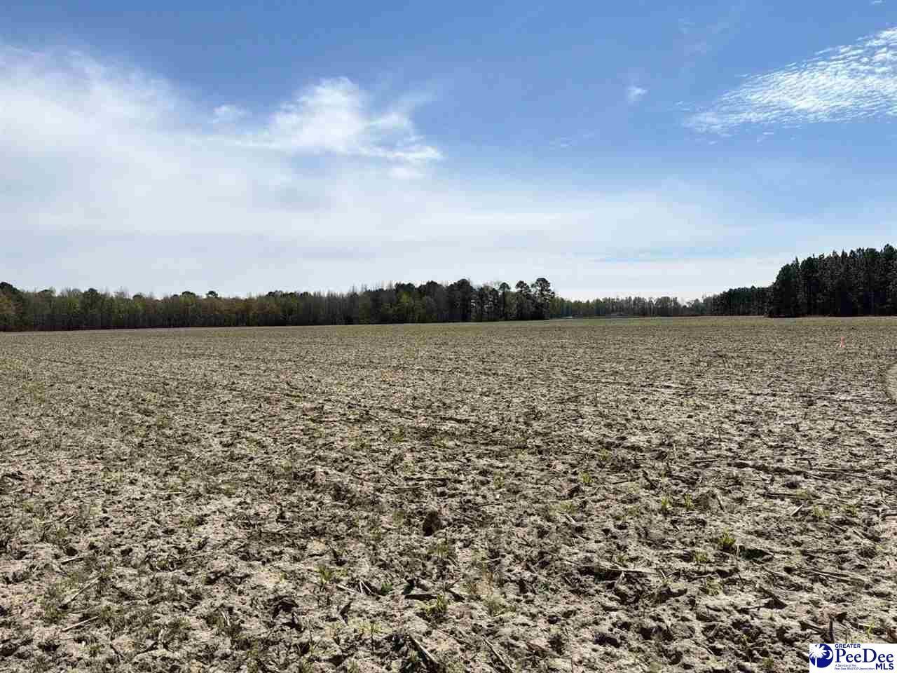 Mta 9 Heustess Rd Photo 18