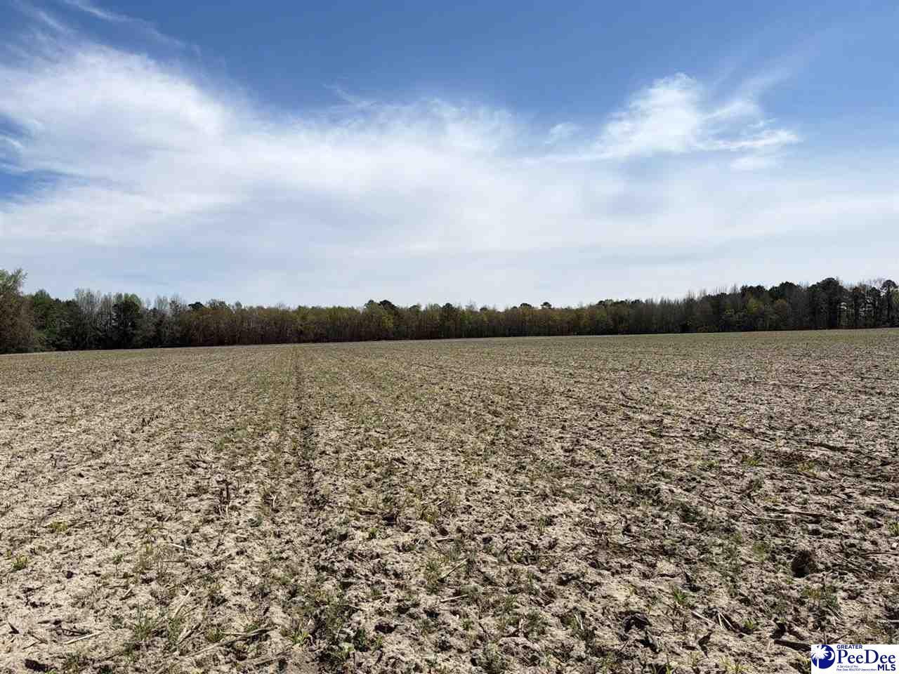 Mta 9 Heustess Rd Photo 19