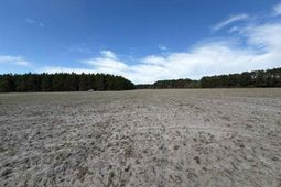 Mta 9 Heustess Rd photo 4