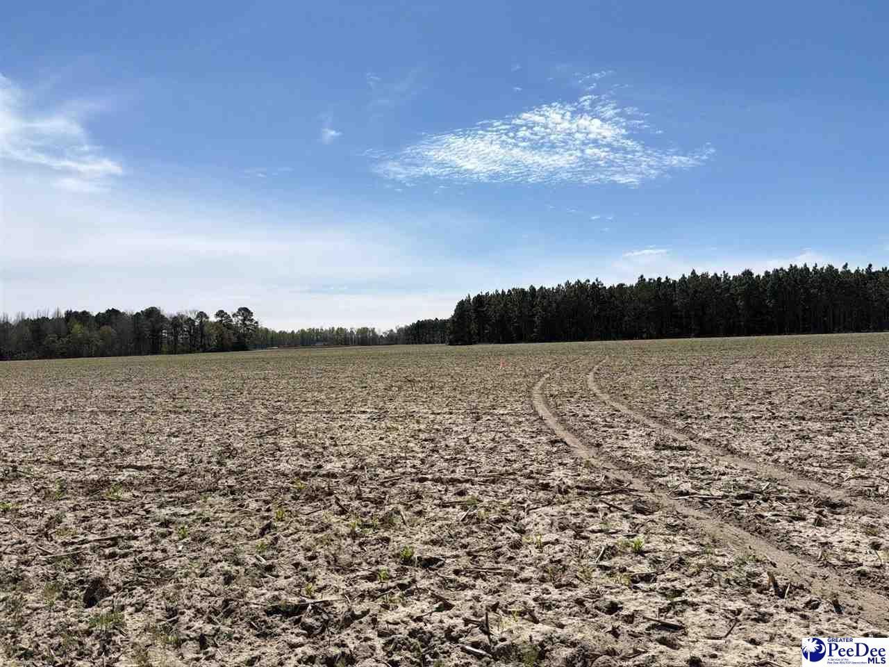 Mta 9 Heustess Rd Photo 20