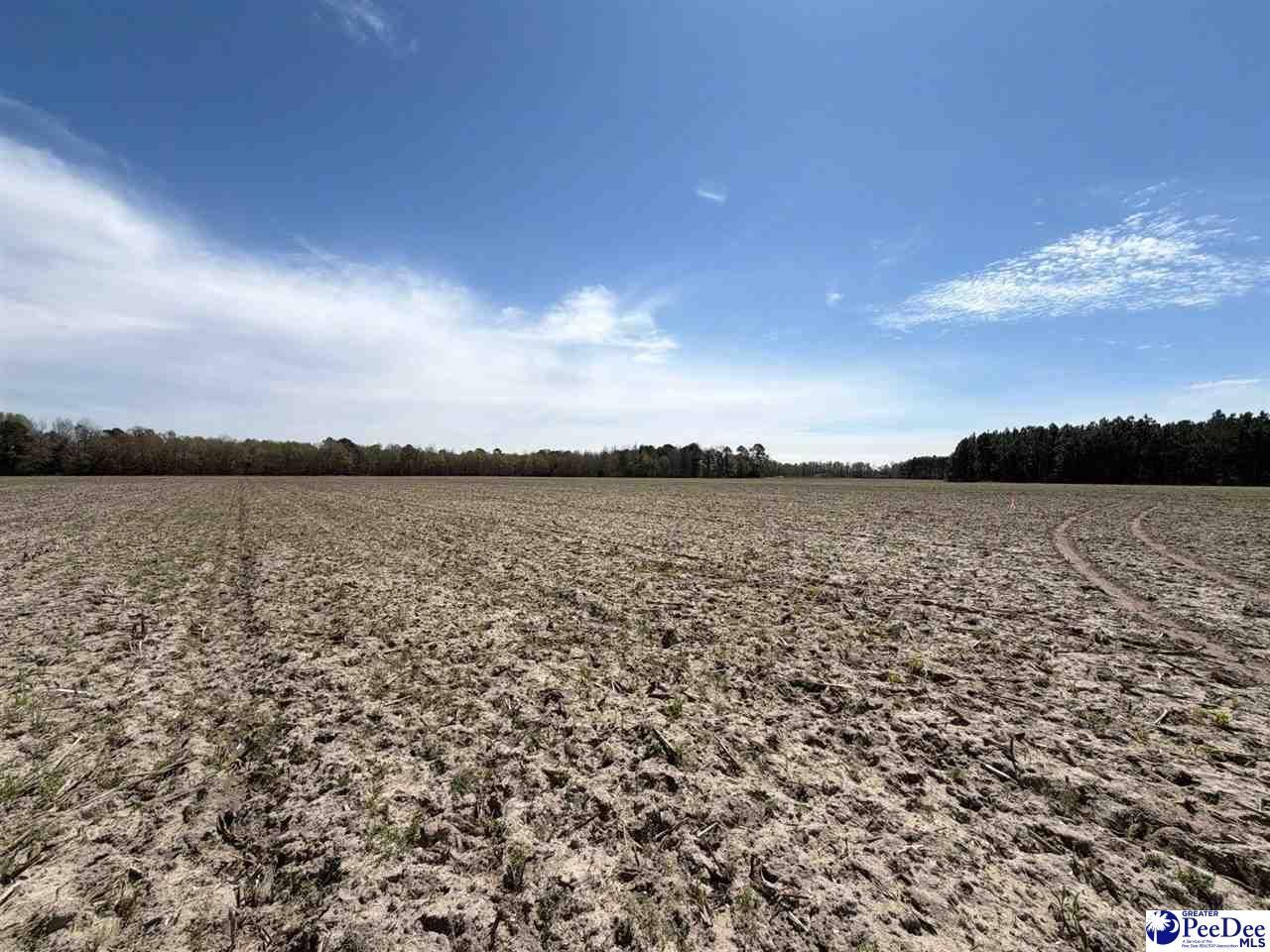 Mta 9 Heustess Rd Photo 21