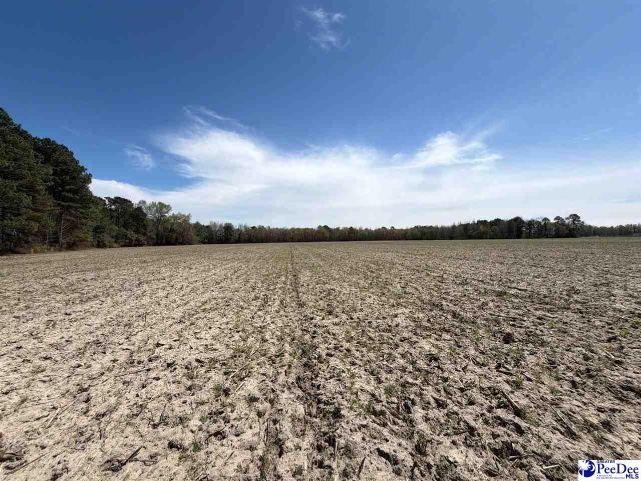 Mta 9 Heustess Rd Photo 22