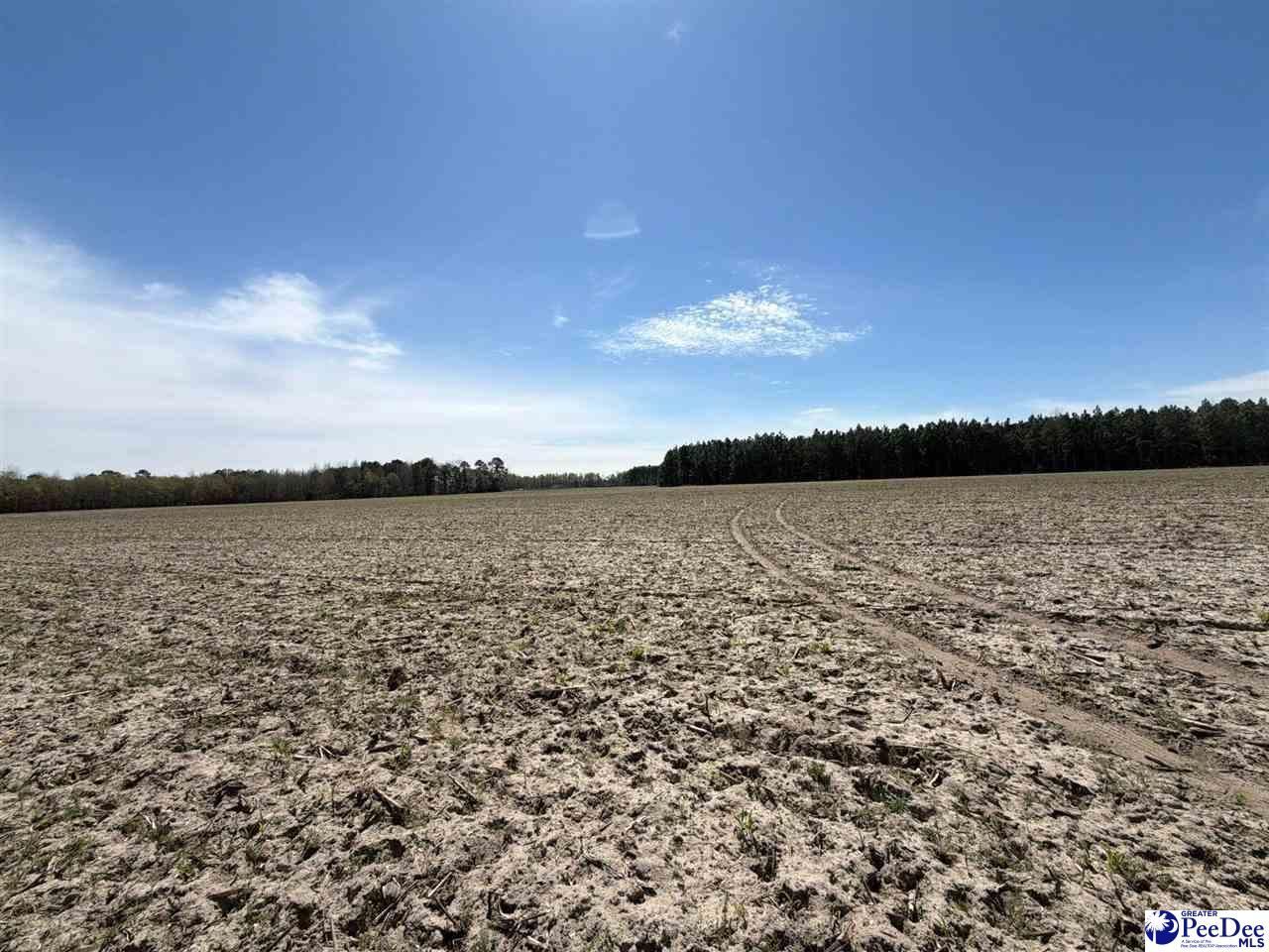 Mta 9 Heustess Rd Photo 23