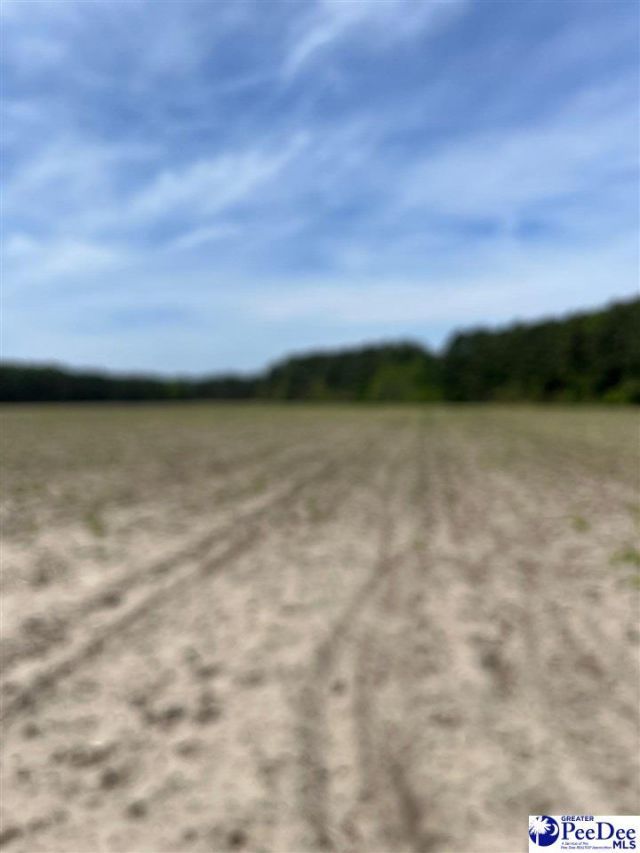 Mta 9 Heustess Rd Photo 24