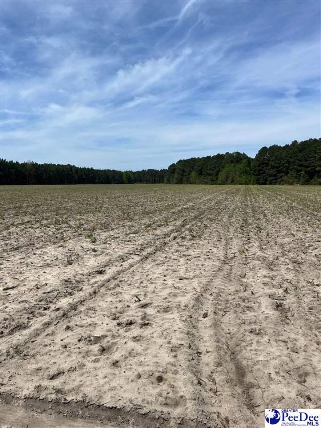 Mta 9 Heustess Rd Photo 25